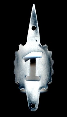 1X.JPG