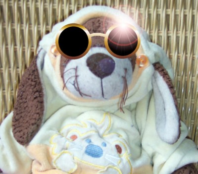 HARRRSE XX1234.JPG