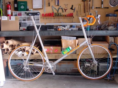 bigassbikebig.jpg