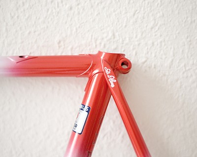 6970olmo_1-large.jpg
