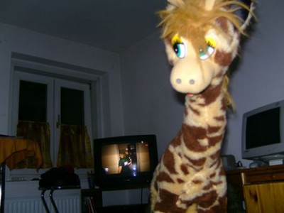 BILD0757.JPG