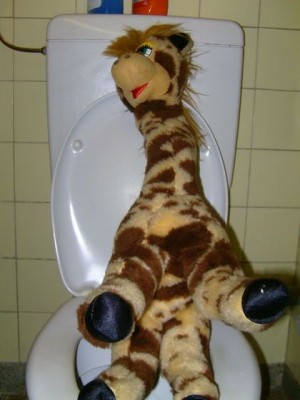 BILD0770.JPG