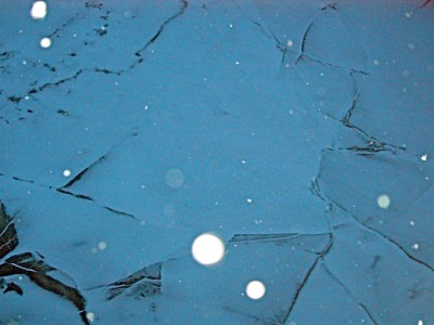 schneekönigin.JPG