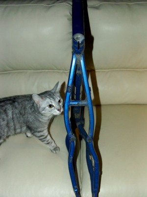 PICT0021.JPG