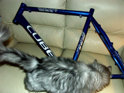 PICT0022.JPG