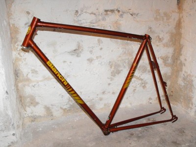 BIke 03.02.2010.JPG