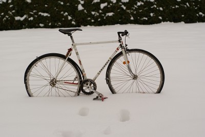 peugeot.jpg