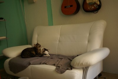 couch.jpg