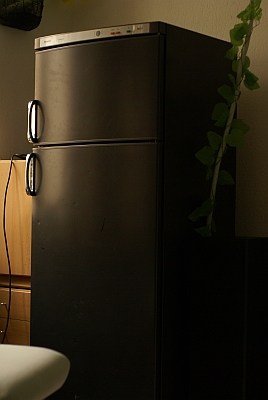 kühlschrank.jpg