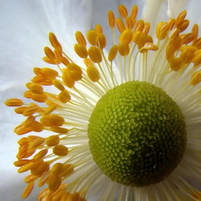 1256764515d8P3lnQ.jpg