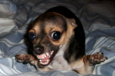 Bild 2.png