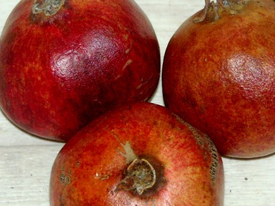 PICT0022.JPG
