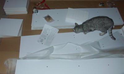 PICT0021.JPG