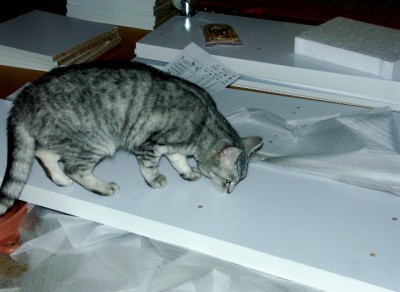 PICT0020.JPG