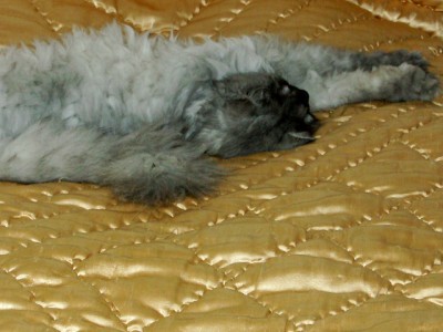 PICT0020.JPG