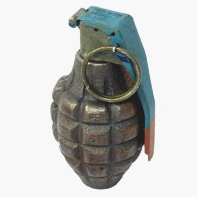 ananas.jpg