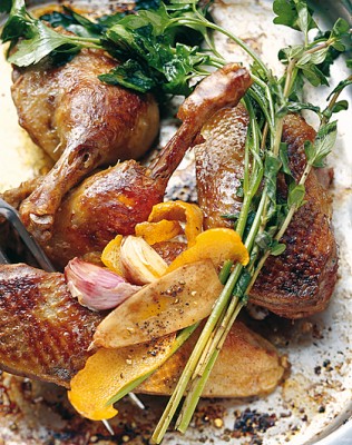 bauern-ente420.jpg