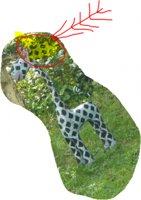 Giraffe mit elfenflügeln.PNG