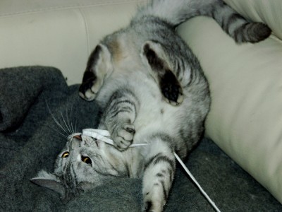 PICT0020.JPG