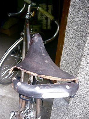 sattel arsch ll.JPG