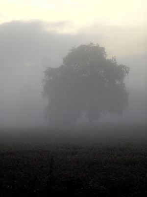 BILD7249.JPG
