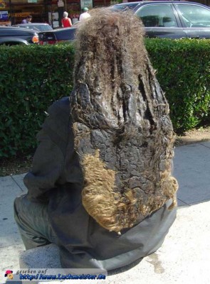 haare.jpg