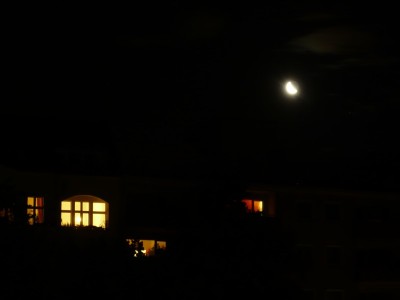 P1010790-1.jpg