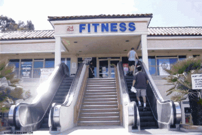deecee_fitness.gif