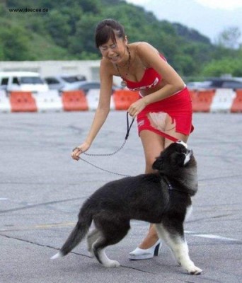deecee_animals3_15.jpg