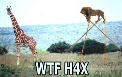 H4X-1.jpg