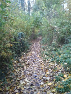 2010-11-02 16.10.12.jpg