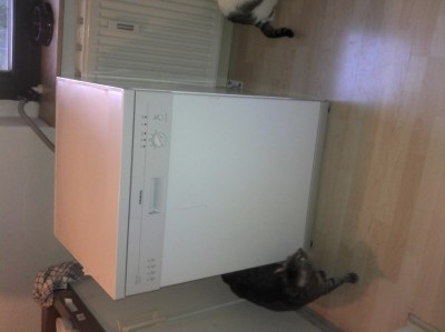 2011-04-10_19-50-03_69.jpg