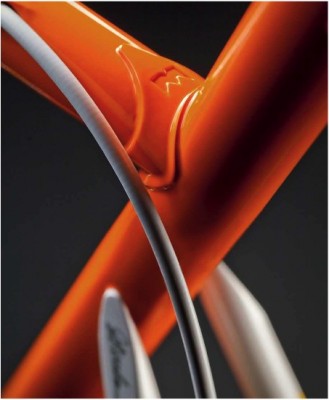 Merckx.jpg