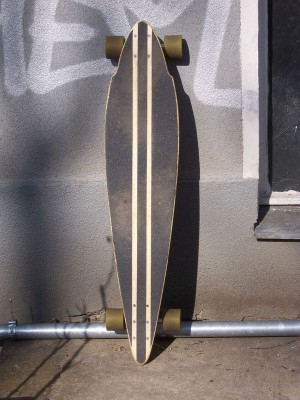 Pintail2_fin2.JPG