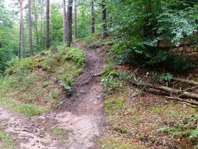 ausfahrttrail.jpg
