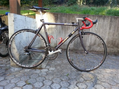 Rennrad 1000px.jpg