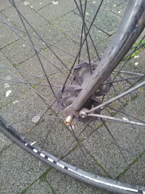 2013-11-06 11.32.26.jpg