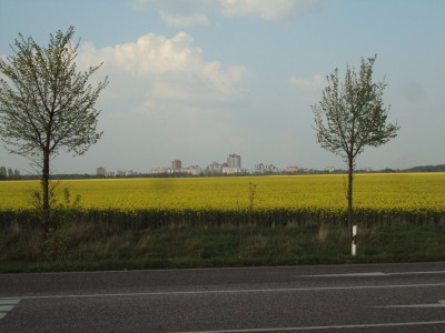 DSC04788.JPG