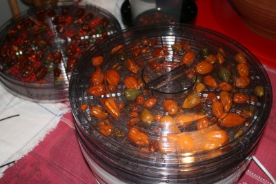 Img_1755_klein.jpg