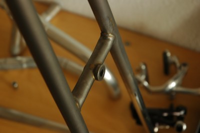 DSC_5572.JPG