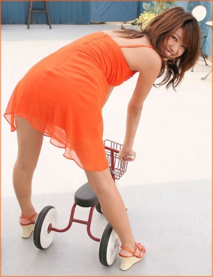 13796d1250463823-cycle221.jpg