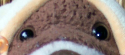 HARRRSE X tr.e2345.JPG