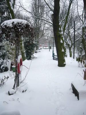 winter.JPG